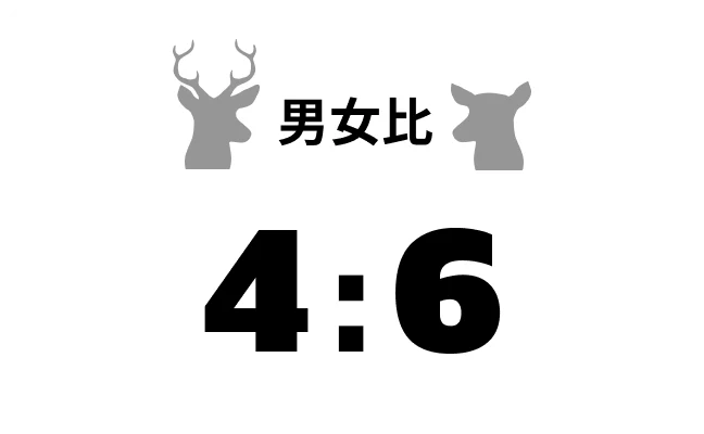 取り扱いIP数 200+